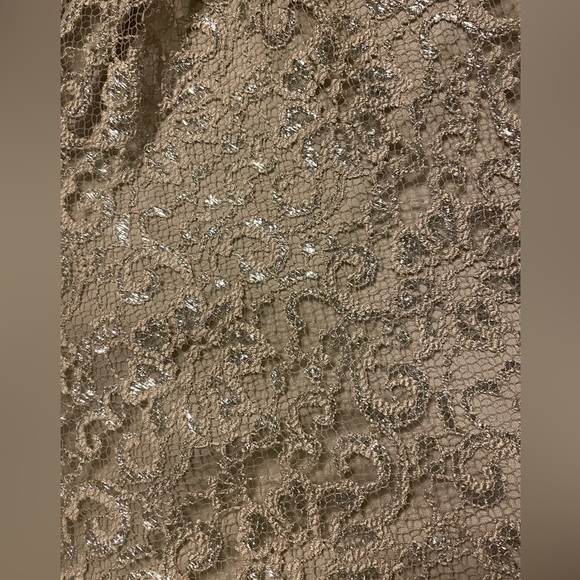 Calvin Klein Dress.  Shimmery Beige Lace.  Size 4. - Picture 4 of 4